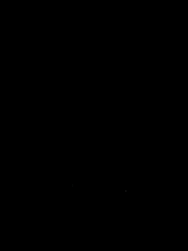lezenke webcam
