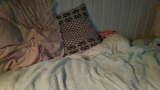 Stock-Holmes webcam