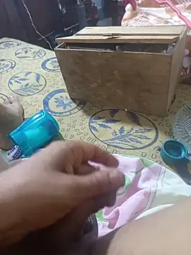 saraieevosarai webcam