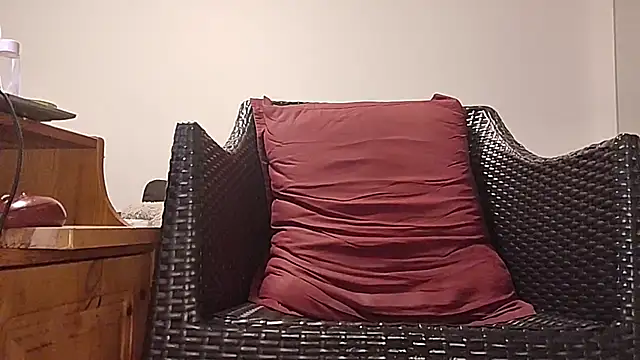 Tyyson03 webcam