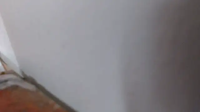 alexam_gal@xh webcam