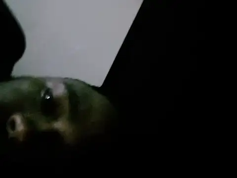 HandsomeBoy990 webcam