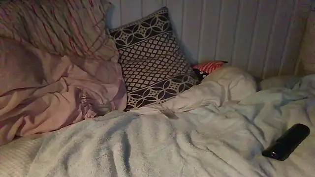 Stock-Holmes webcam