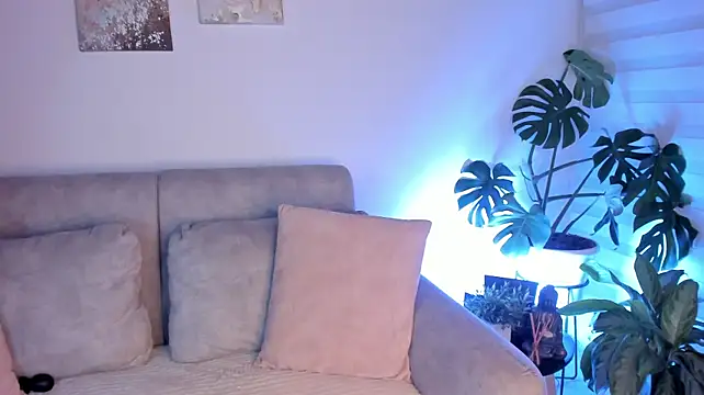AlleCollins webcam