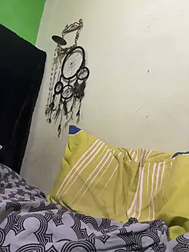 Spider18 webcam