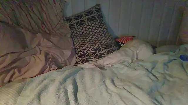 Stock-Holmes webcam