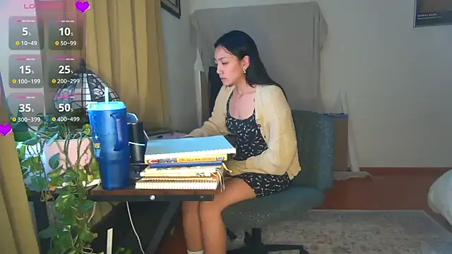 yuzhara webcam