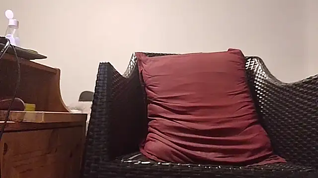 Tyyson03 webcam