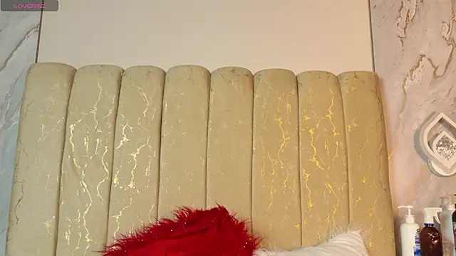 vivi_ruby webcam