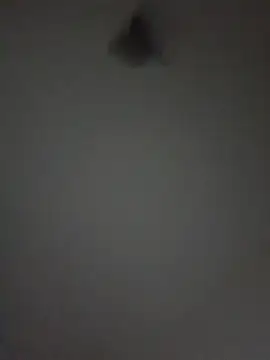 Hornytranyforyou webcam