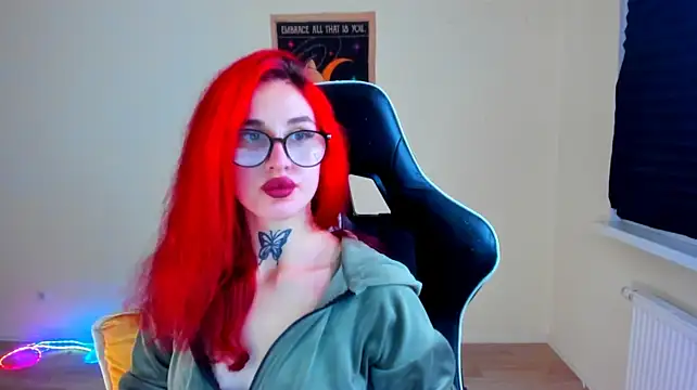 your_tora webcam