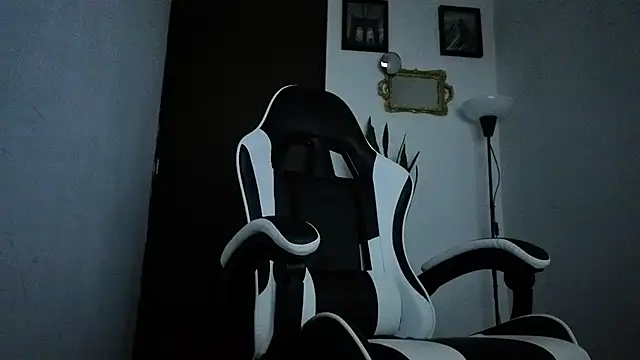 Arteemiiis webcam
