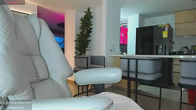 _veenus webcam