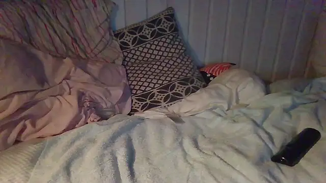 Stock-Holmes webcam