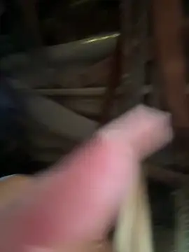 bunny_bicht