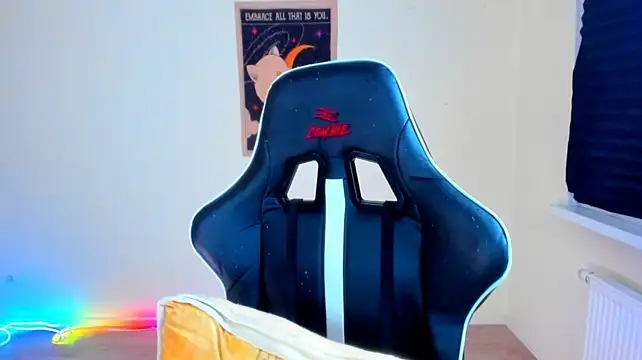 your_tora webcam