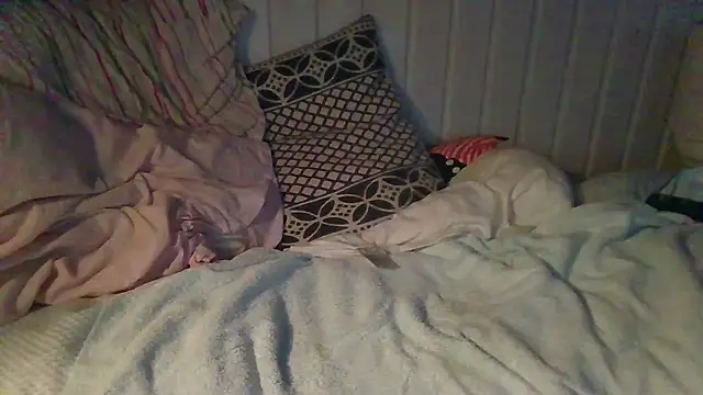 Stock-Holmes webcam