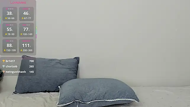 Kiraeko webcam