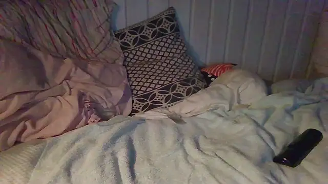 Stock-Holmes webcam