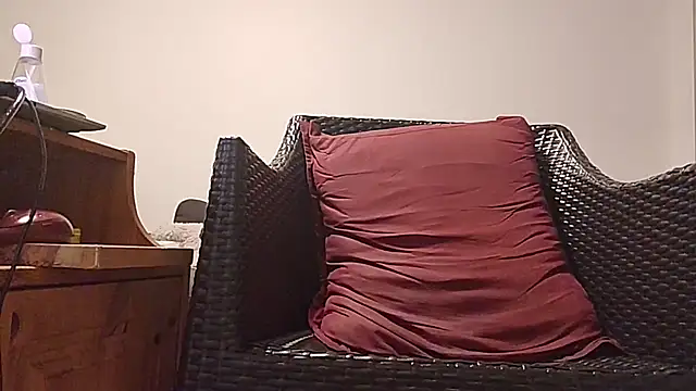 Tyyson03 webcam