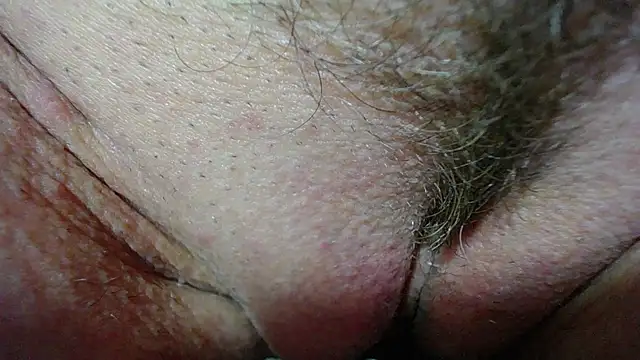 Xollan_ webcam