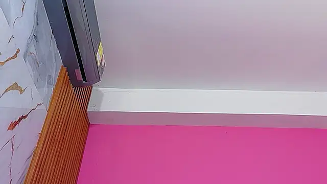 live cam model