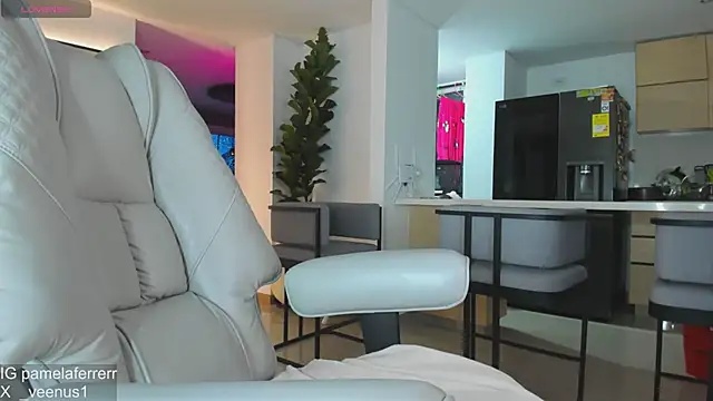_veenus webcam