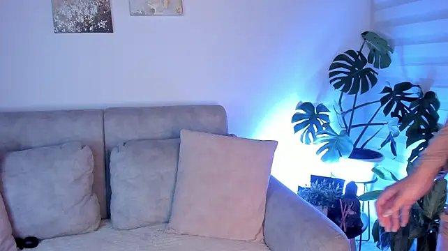 AlleCollins webcam