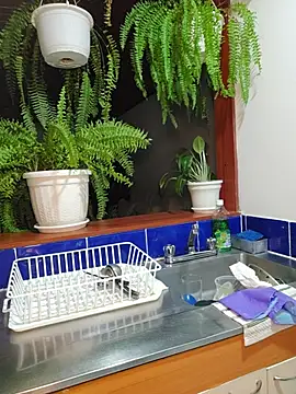 Karen_San_Miguel webcam