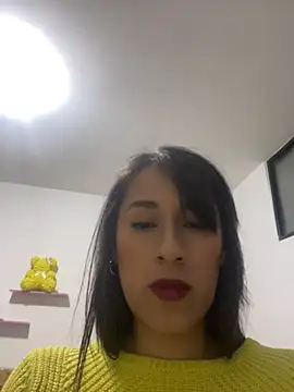 ELY_FE_ webcam