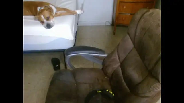 DADDY_KANE8--- webcam