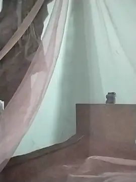 NAAYA8190 webcam