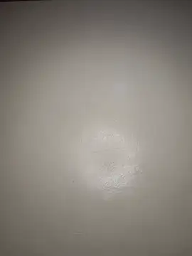 Sonicsexy_ webcam