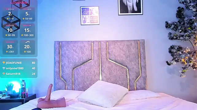 Anyconnor webcam