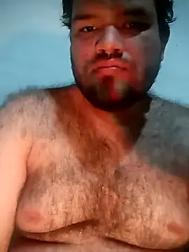 big__bearrr webcam