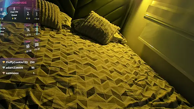 james_lincoln webcam