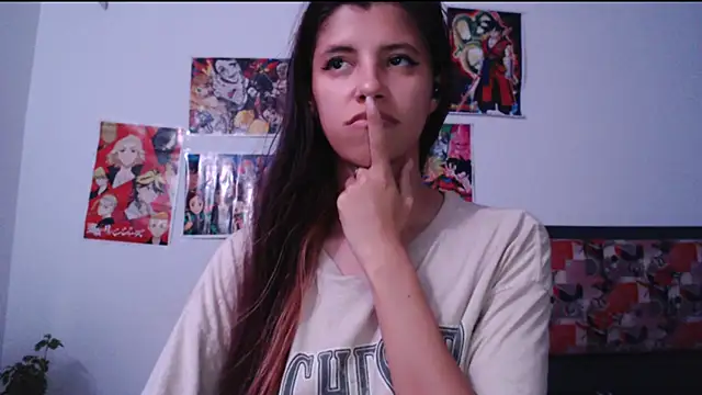 haomee webcam