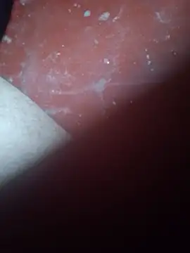 elpro_de
