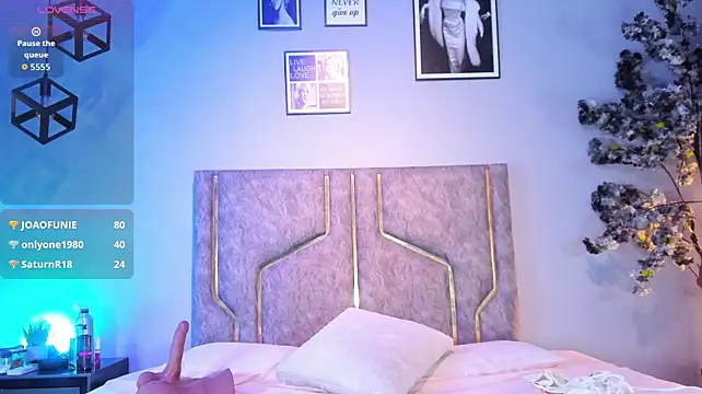 Anyconnor webcam