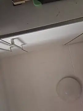 Javier_bear webcam