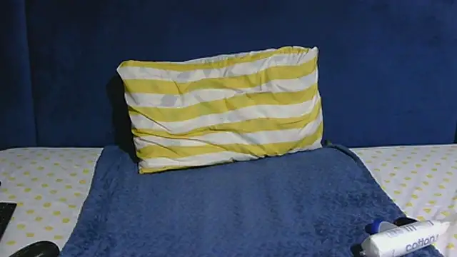 Melitaxx webcam