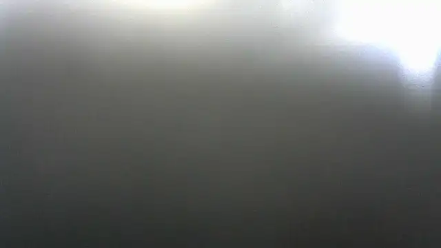 THICKEBONYX webcam