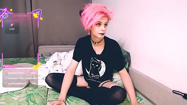 Littlepinkcat webcam