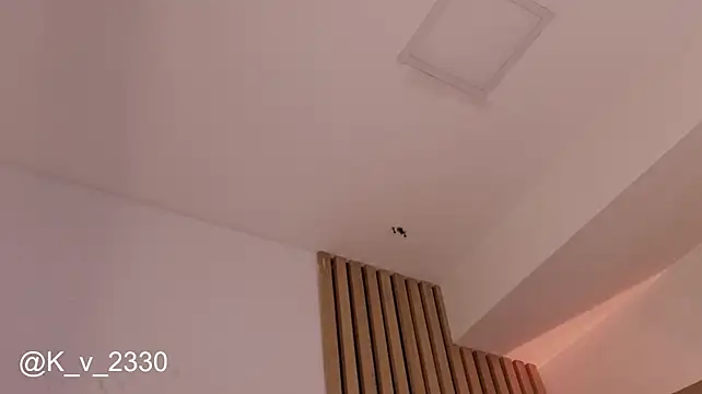 sofiesoft webcam