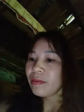 Biva11 webcam