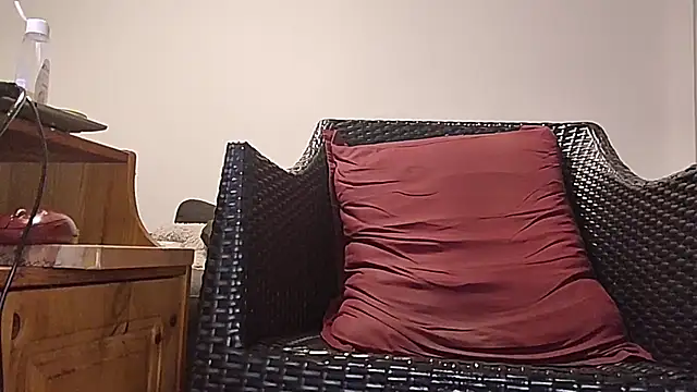 Tyyson03 webcam