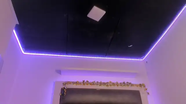 adhalee_js webcam