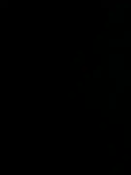 Tigeer_07 webcam