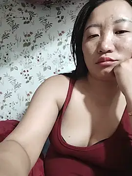 zhen-zo webcam