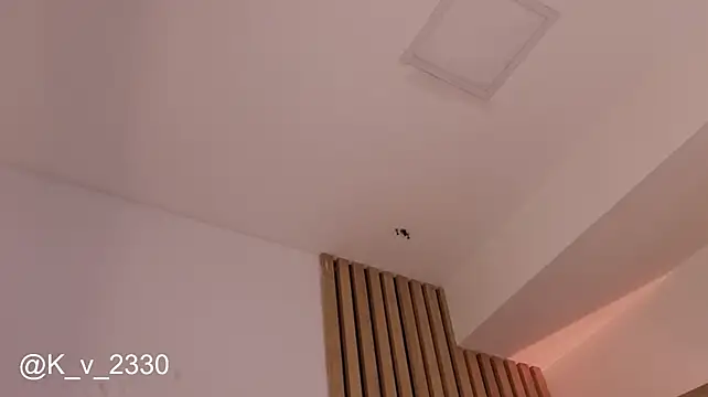 sofiesoft webcam